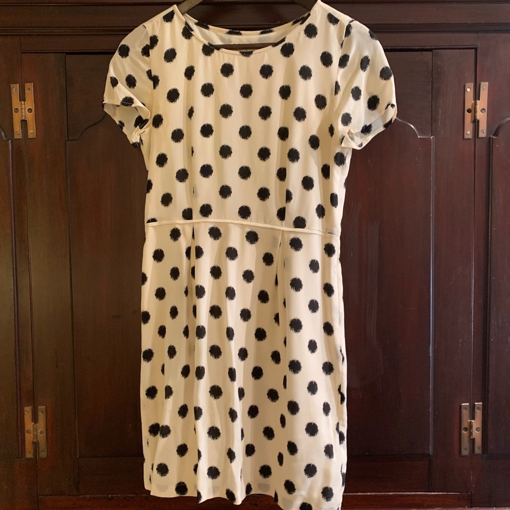 Madewell Polka-Dot Dress